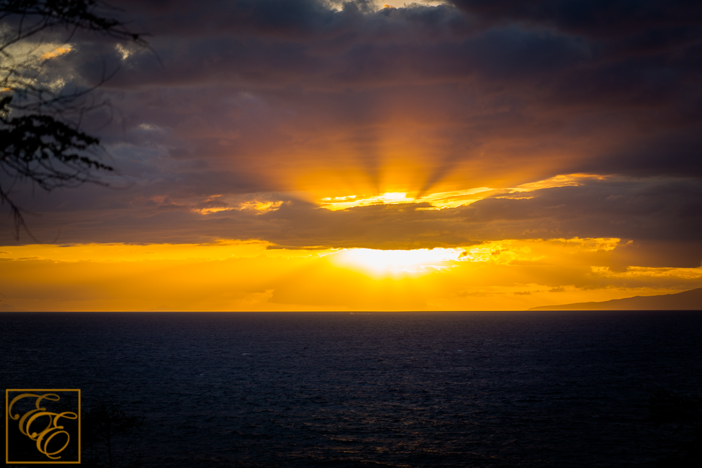 Golden Maui Beach Sunset