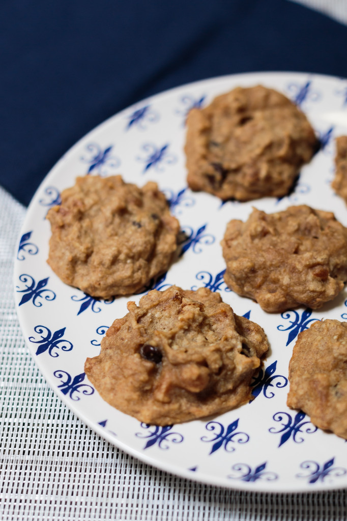 Oatmeal Power Cookies
